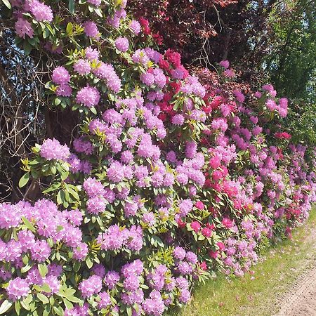 Ferienwohnung Gartenblick Westerstede Esterno foto
