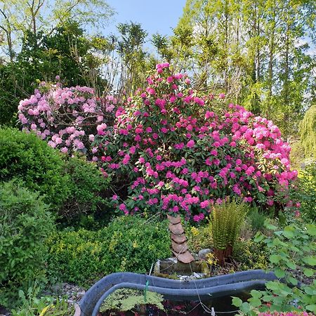 Ferienwohnung Gartenblick Westerstede Esterno foto