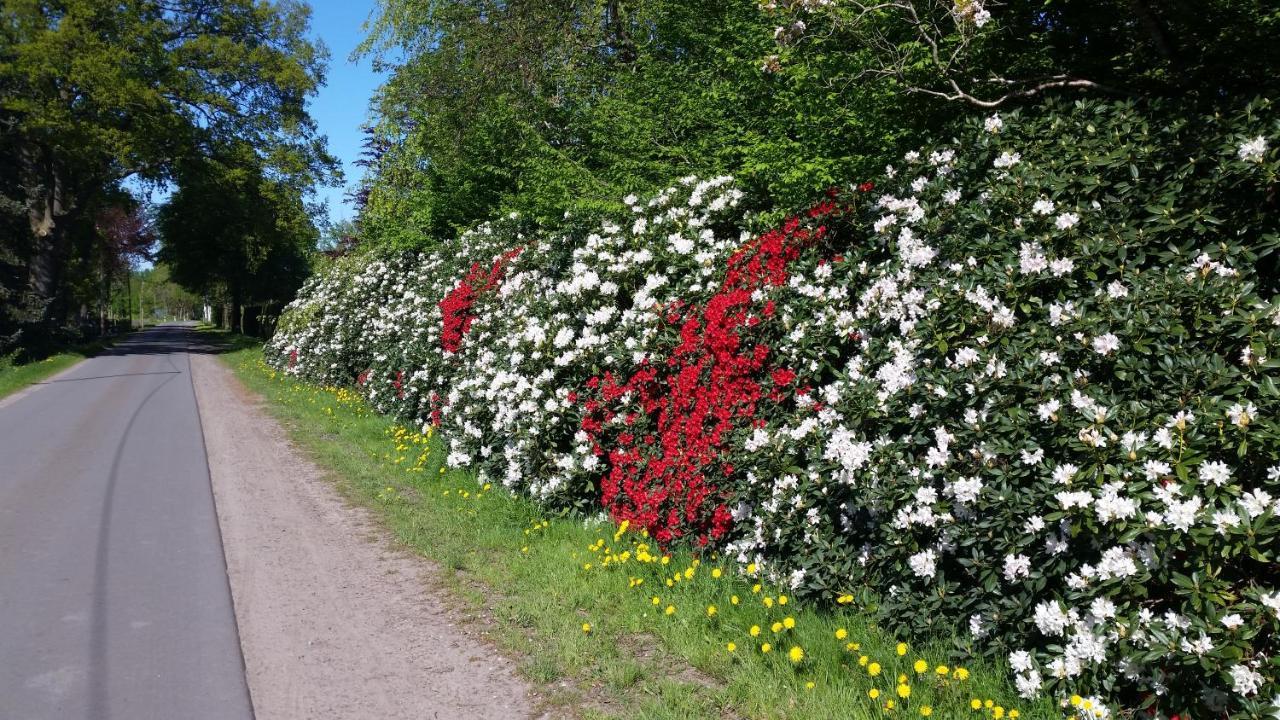 Ferienwohnung Gartenblick Westerstede Esterno foto