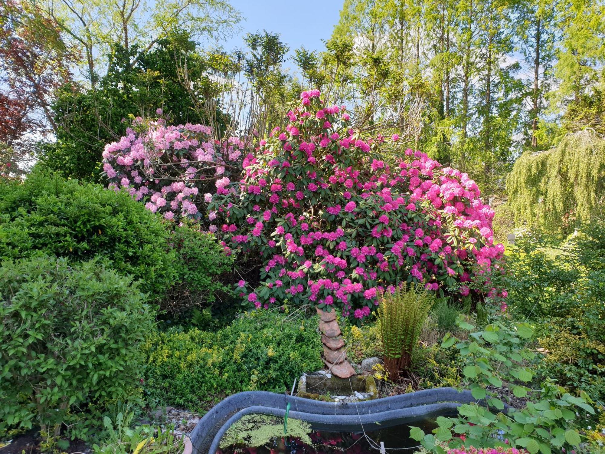 Ferienwohnung Gartenblick Westerstede Esterno foto