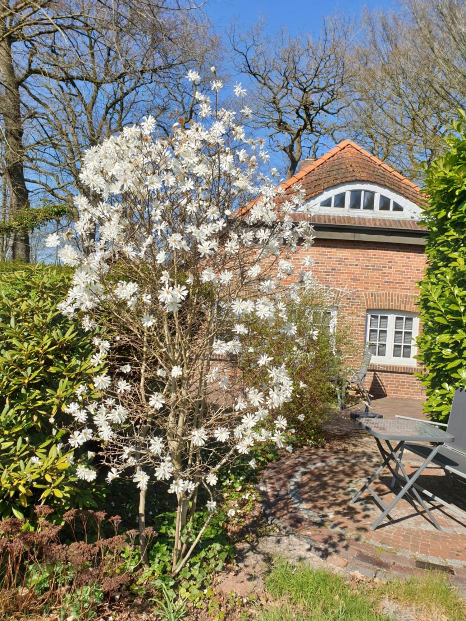 Ferienwohnung Gartenblick Westerstede Esterno foto